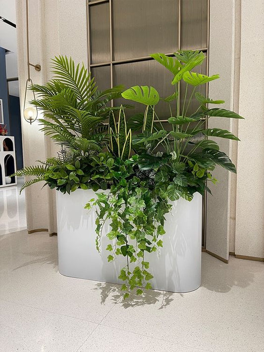 1-10 Plants