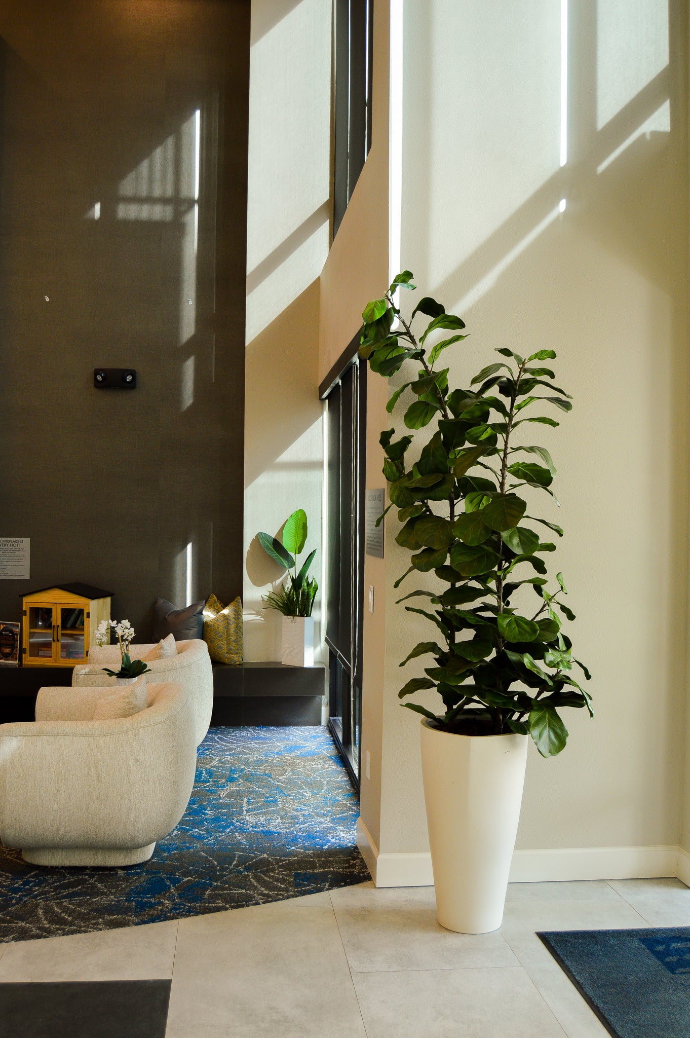 1-10 Plants